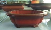 Zisha Bonsai Pots, Mini Bonsai Pots, Hand work Pots, Home Decoratin ZZS003